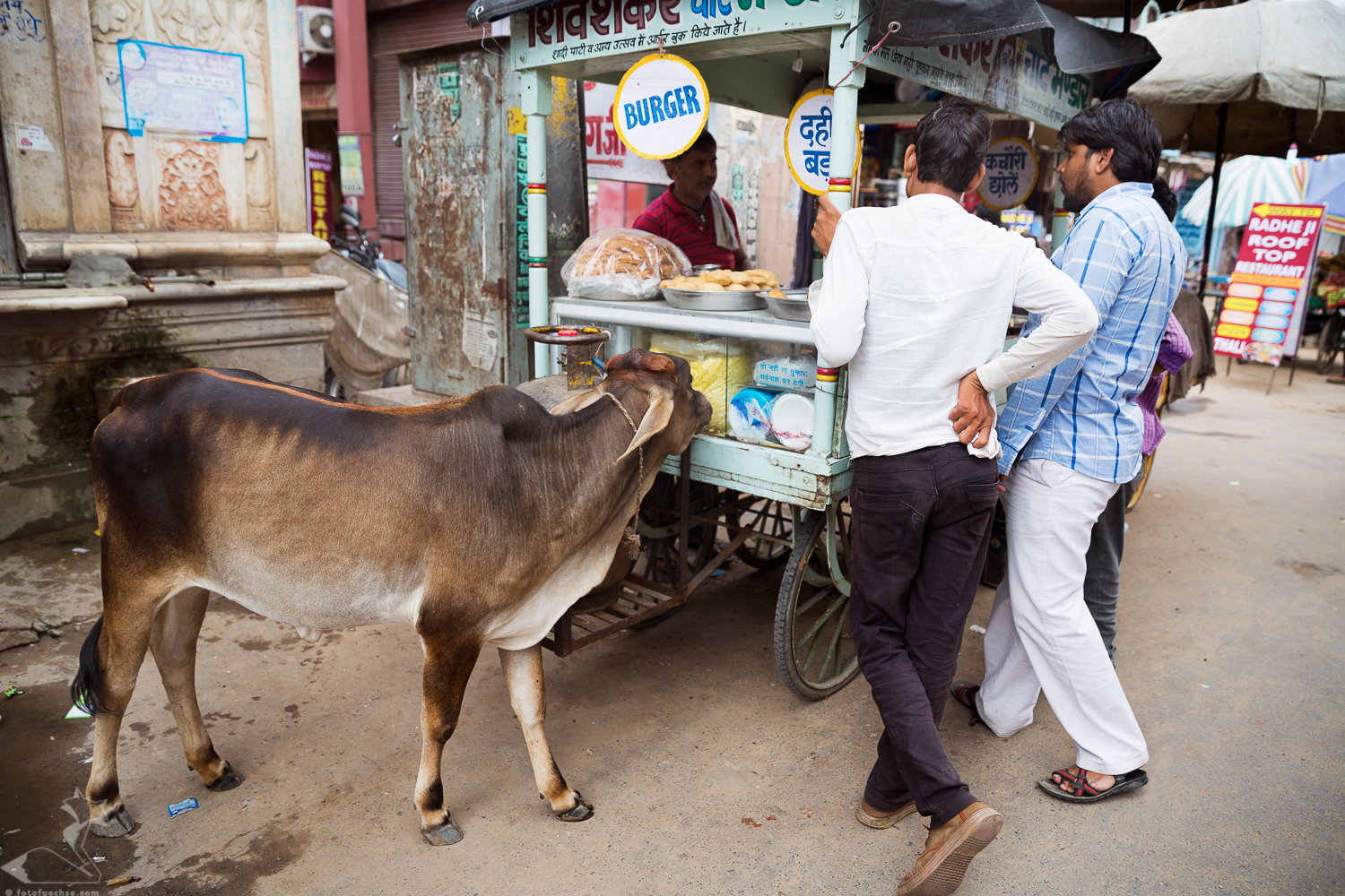 Fotokurs Fotoreise Indien Rajasthan Fotografie fotografieren lernen