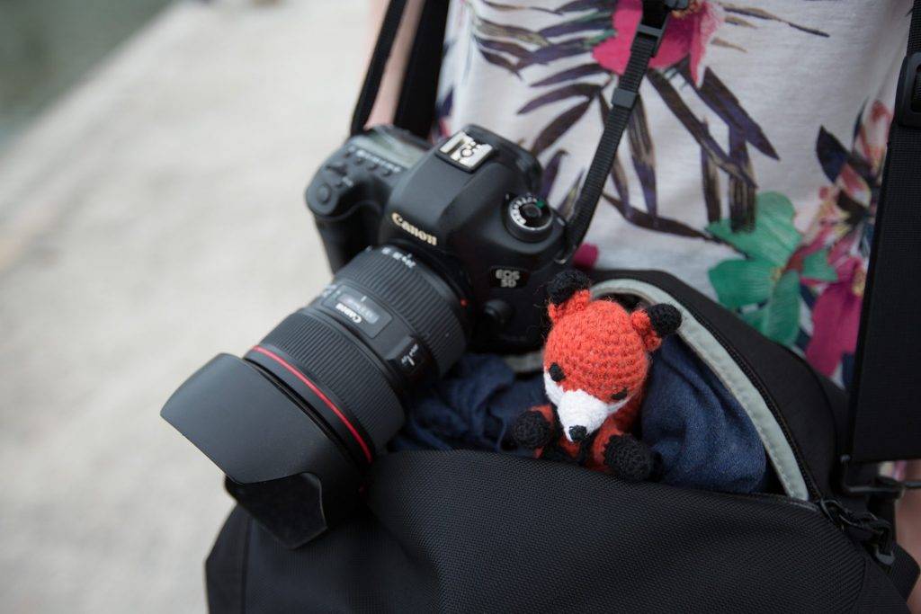 Finn der Fotofuchs hat eine starke Reisepartnerin gefunden, die ihn samt Kameratasche trägt - Die Fotofüchse - Auf Reisen fotografieren lernen