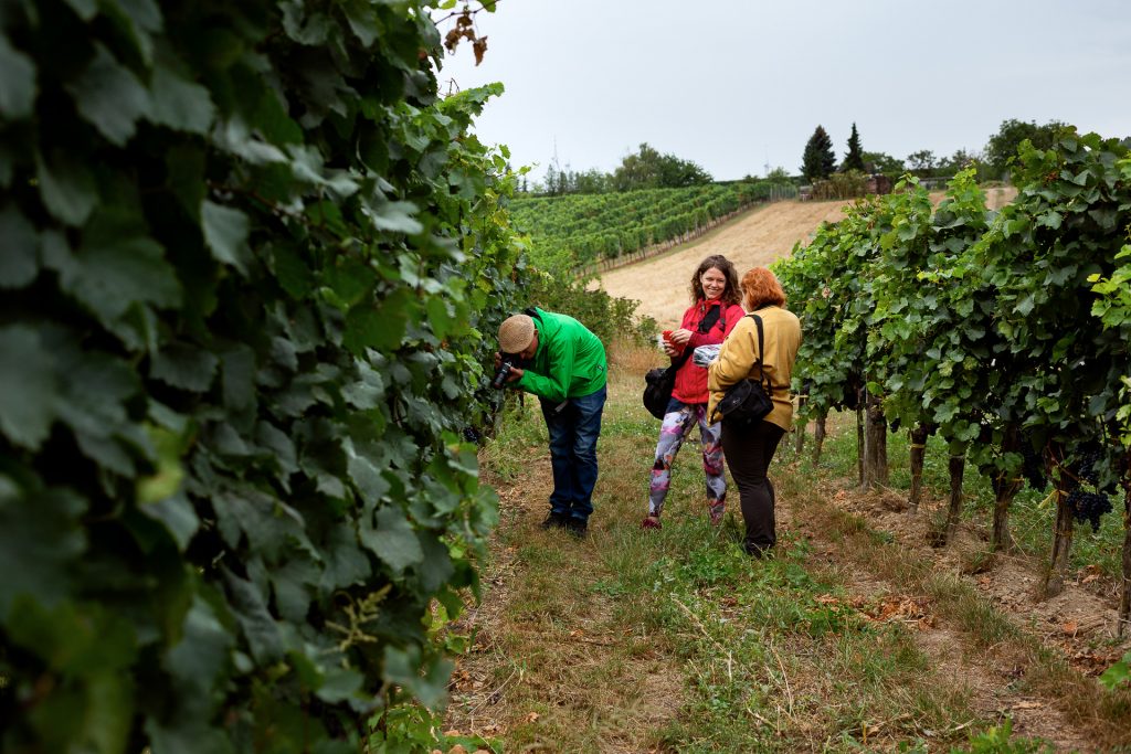 Beim Fotokurs Wein Natur und Genuss erwartet dich sehr gute fotografische Betreuung durch zwei Profis an deiner Seite und die kleine Gruppengröße.