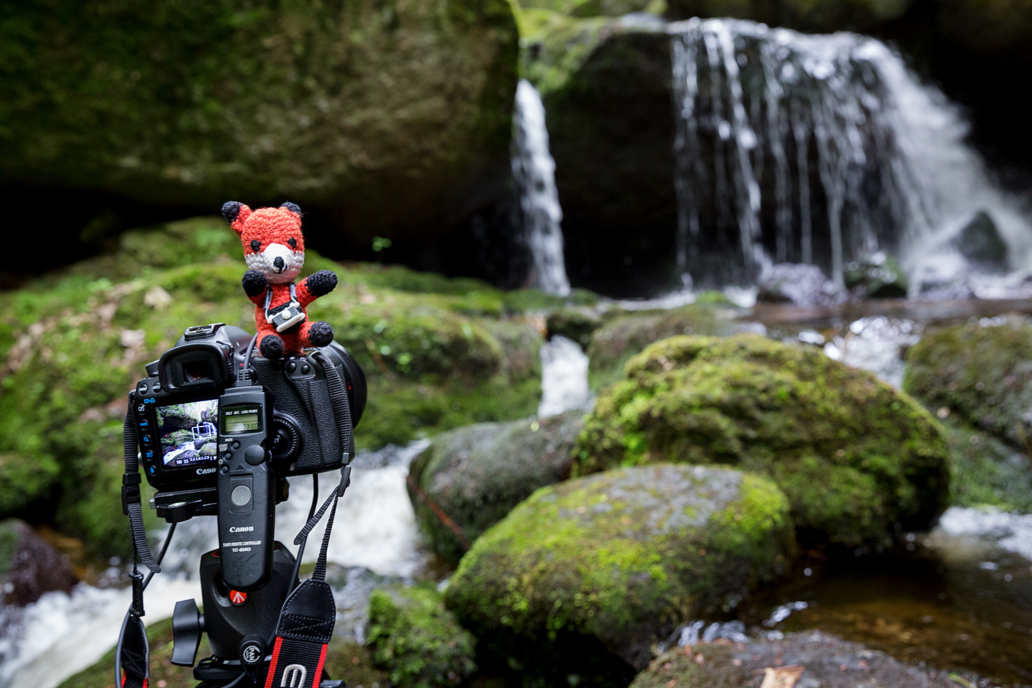 Die Fotofüchse Fotokurs Ysperklamm Fotoreise Wien Österreich Fotografie Auf Reisen fotografieren lernen