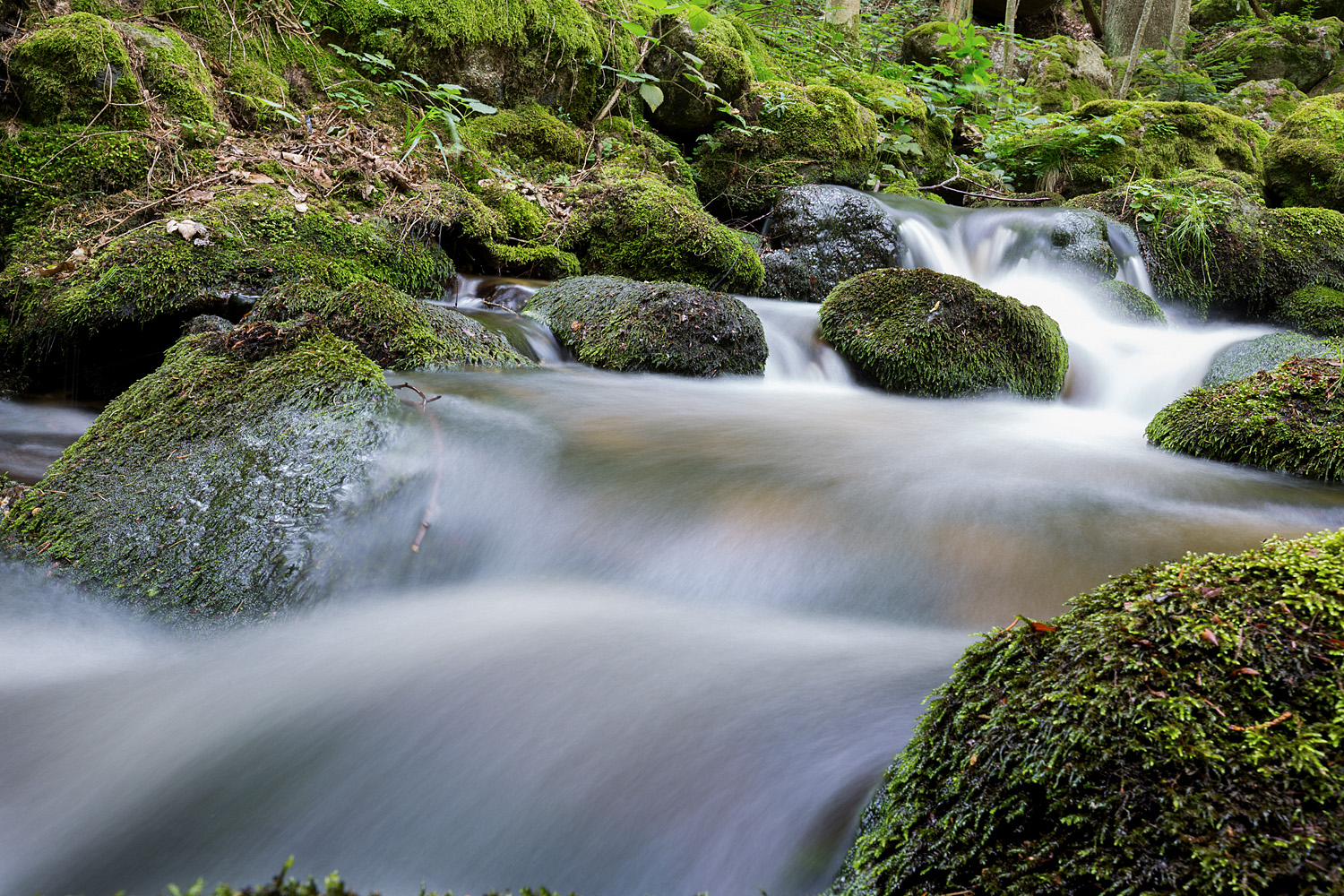 Die Fotofüchse Fotokurs Ysperklamm Fotoreise Wien Österreich Fotografie Auf Reisen fotografieren lernen