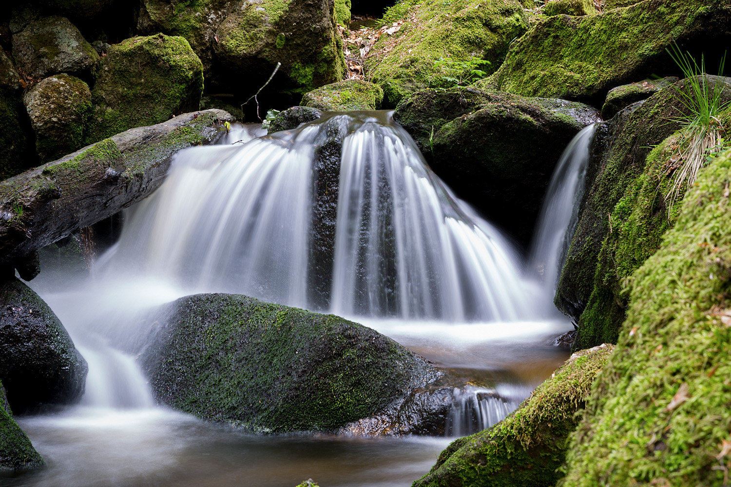 Die Fotofüchse Fotokurs Ysperklamm Fotoreise Wien Österreich Fotografie Auf Reisen fotografieren lernen