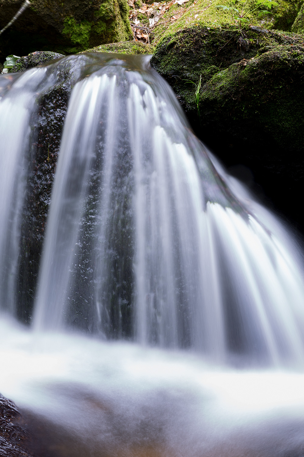 Die Fotofüchse Fotokurs Ysperklamm Fotoreise Wien Österreich Fotografie Auf Reisen fotografieren lernen