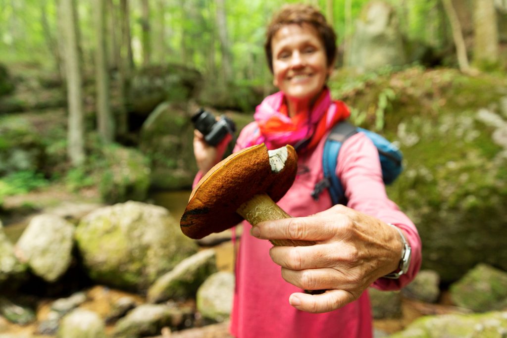 Mit etwas Glück finden wir im Wald auch Proviant ;-)