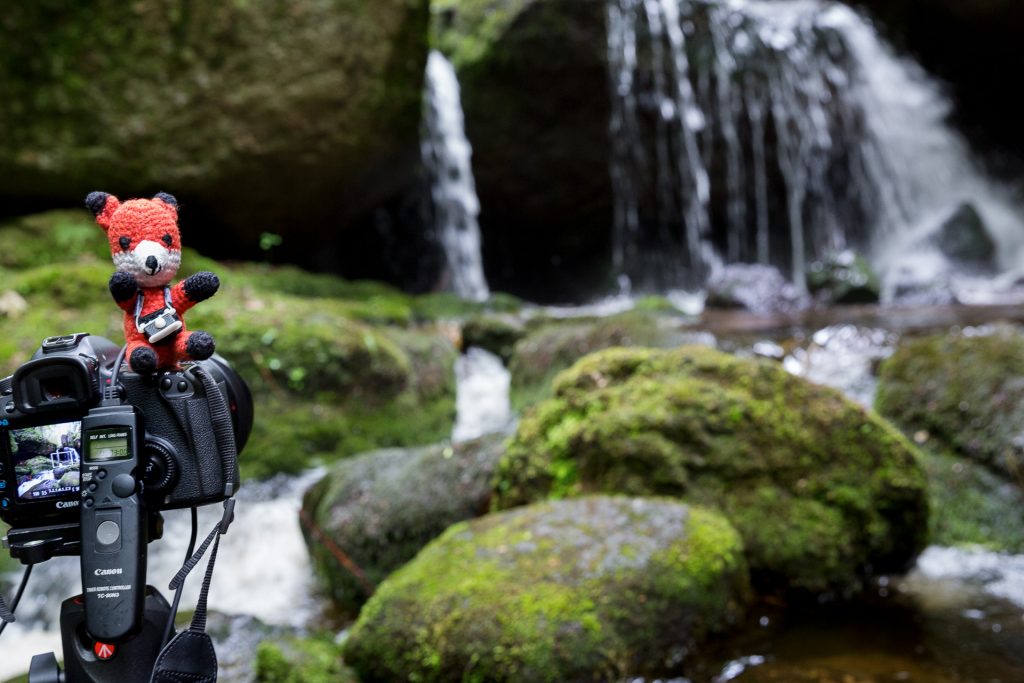 Beim Fotokurs Wildes Wasser - Wilder Wald in der Ysperklamm lernst du verschiedene Motive in der Naturfotografie auf Bild zu bannen.