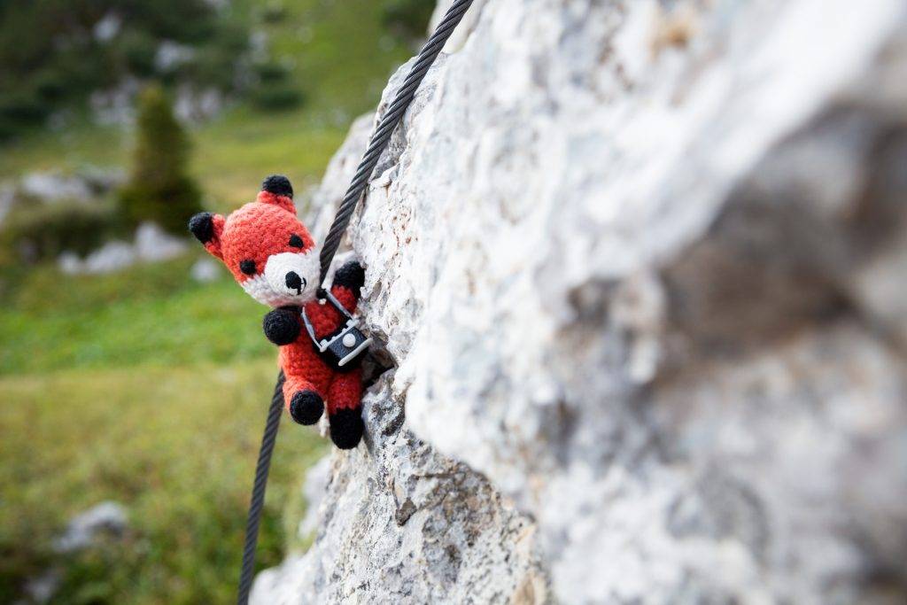Für besonders ausgefuchste Perspektiven, klettert Finn gerne auf Felsen.