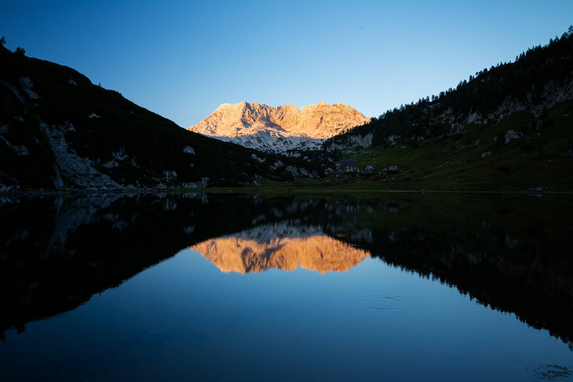 Das Rotgschirr im Salzkammergut färbt sich von Gelb...