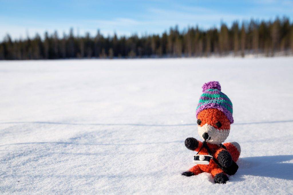 Finn zeigt dir viele Tipps und Tricks um dich, deine Kamera und dein Equipment winterfest zu machen.