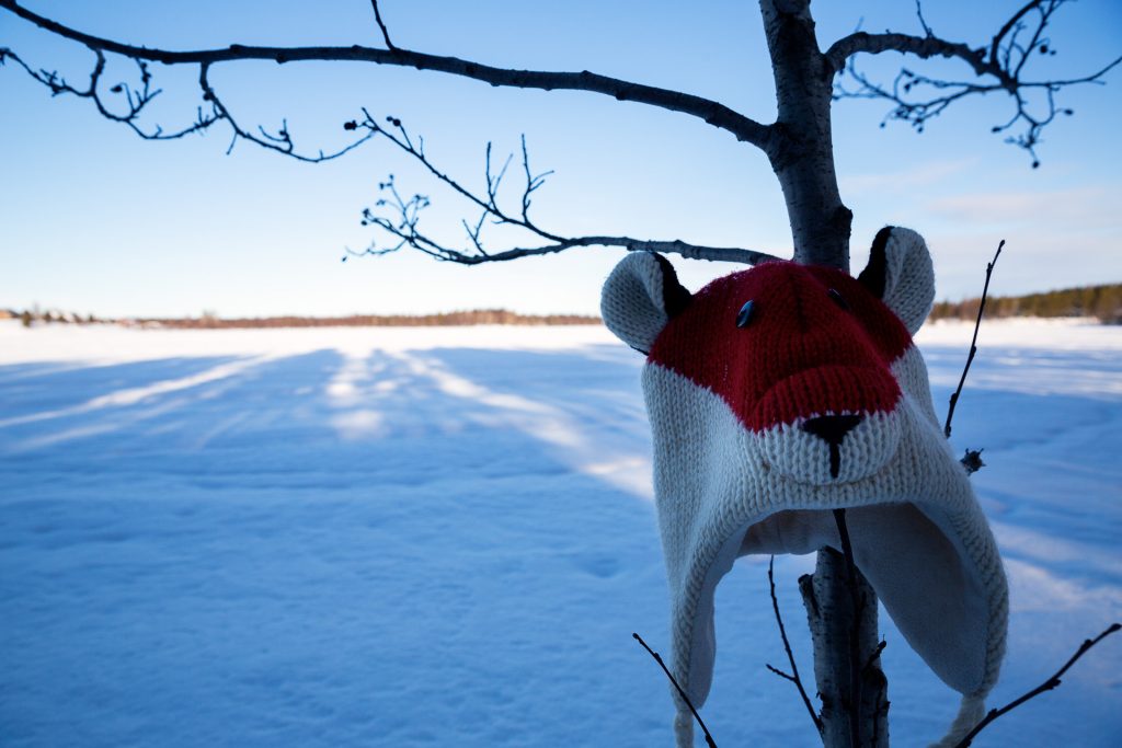 Schenke deiner Kamera eine Mütze oder einen Schal, wenn du im Winter draußen auf Fotostreifzug unterwegs bist.