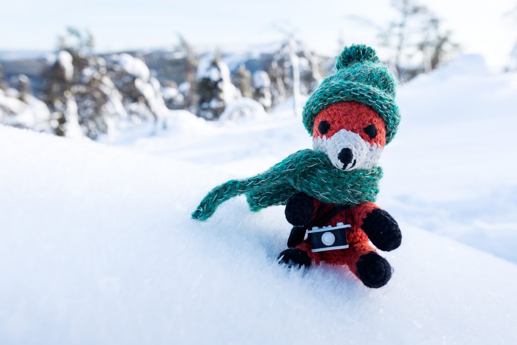 Fotografieren im Winter. Trotz der winterlichen Temperaturen draußen fotografieren. Finn der Fotofuchs macht es vor.