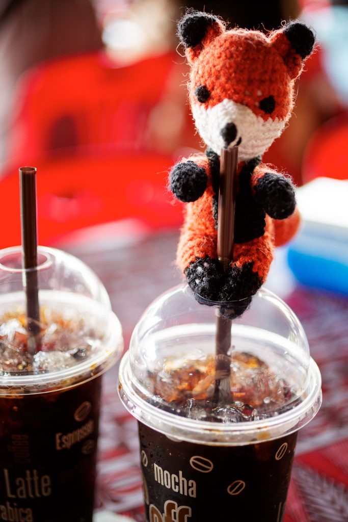 Die FOTOFÜCHSE Wunschorte. Hier wären wir jetzt gerne. Auch Fotofuchs Finn braucht in Angkor einen Eiskaffee zum Aufwachen.
