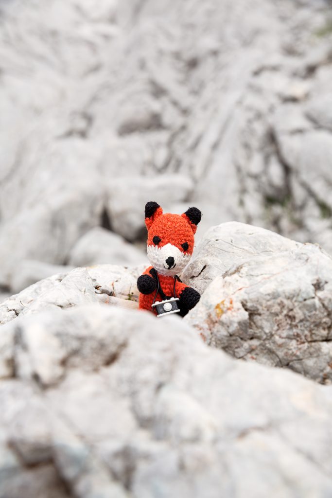 DIE FOTOFÜCHSE Foto Locations Salzkammergut. Im Karstgestein des Toten Gebirges kannst du deinen Lieblingsfuchs vor einem wunderbaren, natürlichen Hintergrund portraitieren.