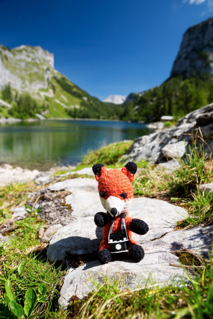 DIE FOTOFÜCHSE Foto Locations Salzkammergut. Mittags- und Bade-Pause am vorderen Lahngangsee. Ob mit Badehose oder so wie Fuchs erschaffen wurde ;-)