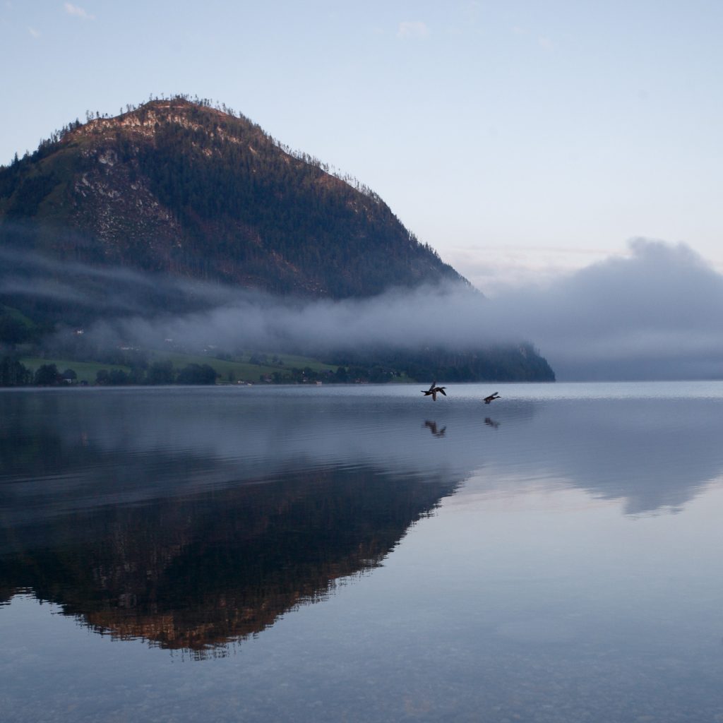 DIE FOTOFÜCHSE Foto Locations Salzkammergut. Morgenstimmung am Grundlsee. Fotografiere bereits vor deiner Schifffahrt am Ufer des Sees.