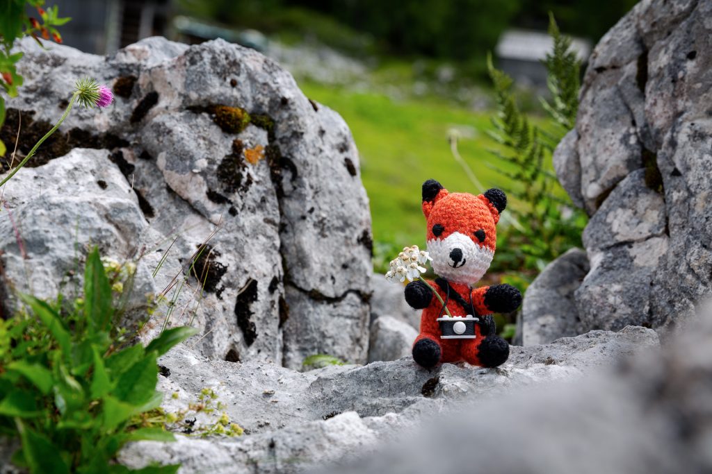 Wir stellen dir unsere 10 liebsten Foto Locations im Salzkammergut vor.