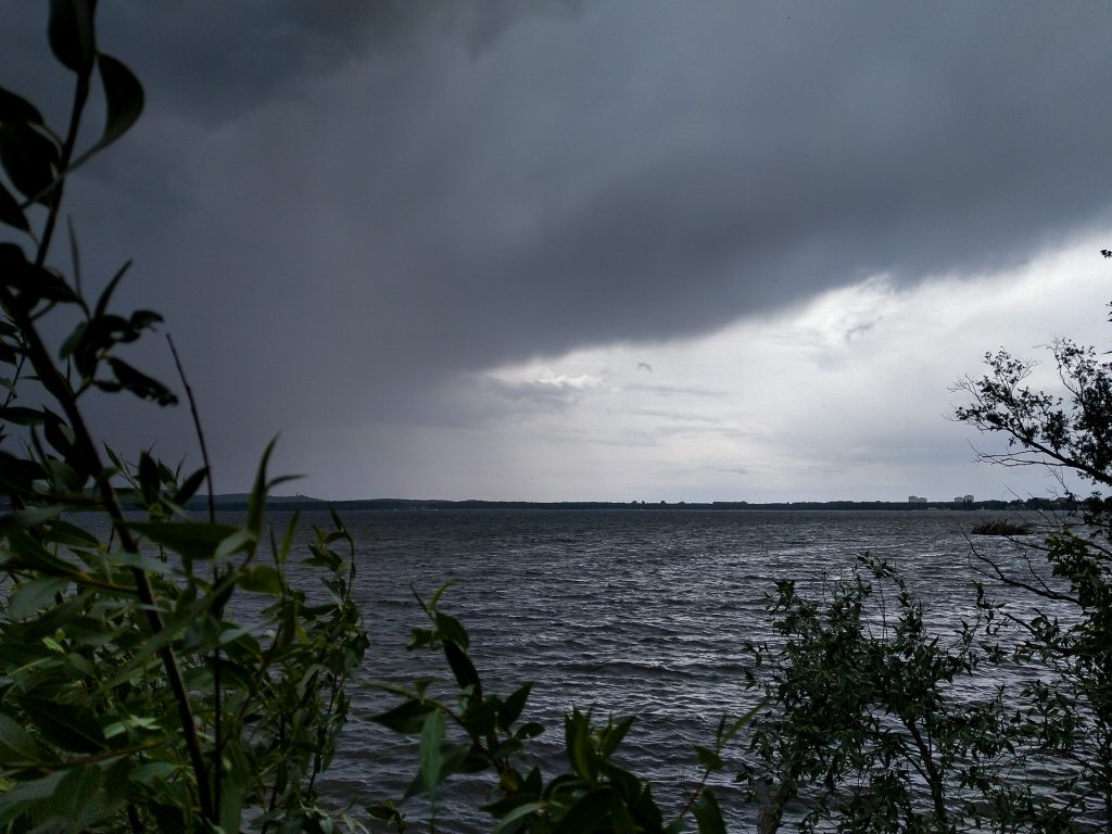 Regenfeste Fotofüchse können mit uns auch bei imposanten Wetter im Grünen mit uns auf Fotostreifzug gehen.