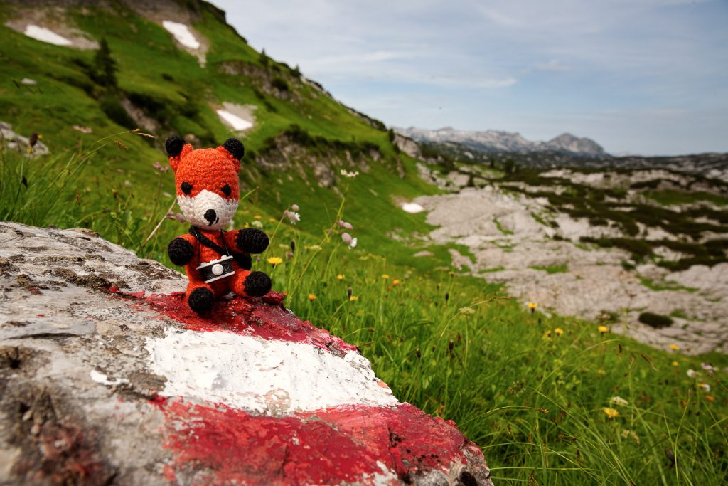 Zieh dein Superfuchskostüm an und komm mit uns auf einen herausfordernden Wander-Fotostreifzug zu vielen ausgefuchsten Fotoplätzen für Natur- und Landschaftsfotografie im Gebirge.