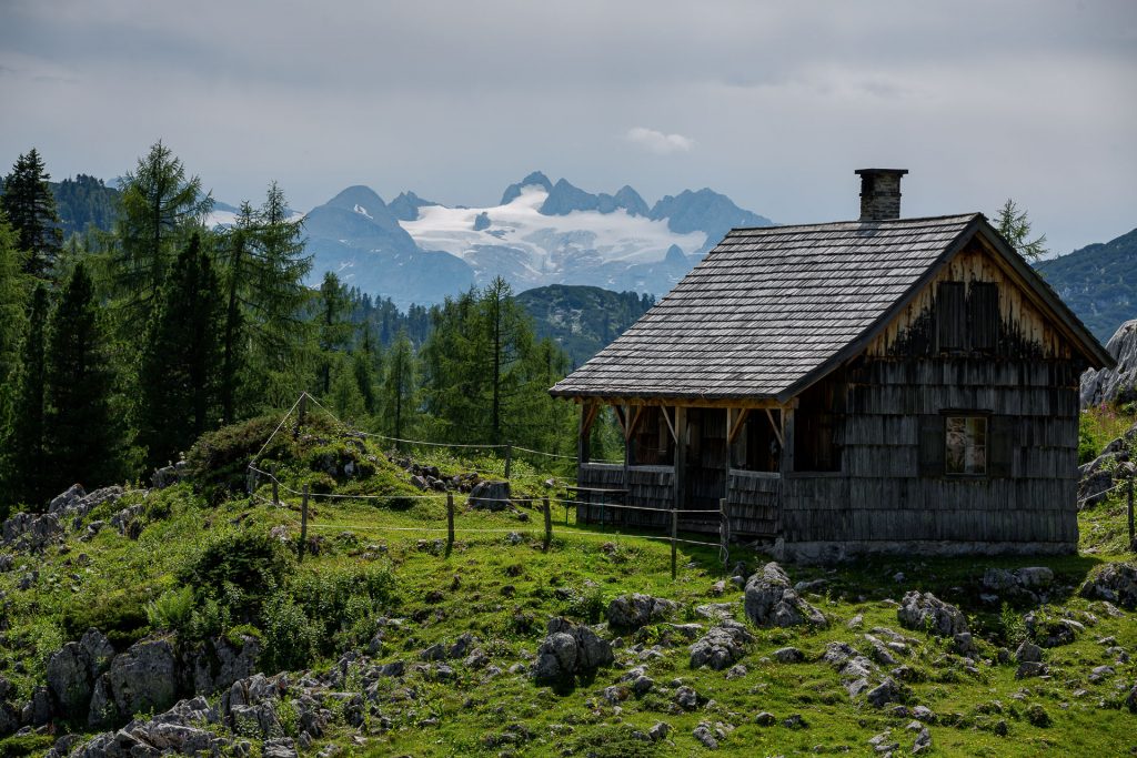 Auf den Almen des Toten Gebirges erwarten dich idyllische Motive. Immer wieder können wir einen Blick auf das Dachstein Massiv erhaschen.