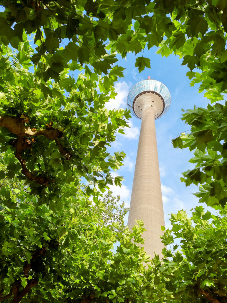 Gemeinsam zu besseren Fotos. Profifüchse stehen dir bei jeder Frage zur Seite.