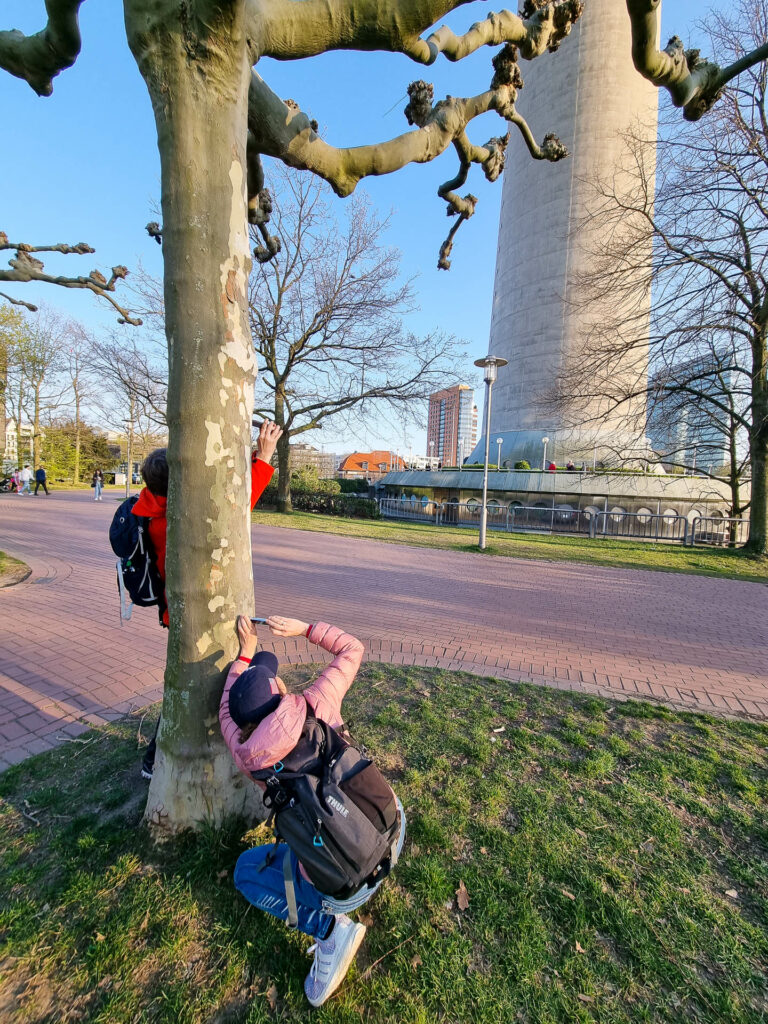 Spiele dich mit der Perspektive und lerne deine Handykamera kennen.