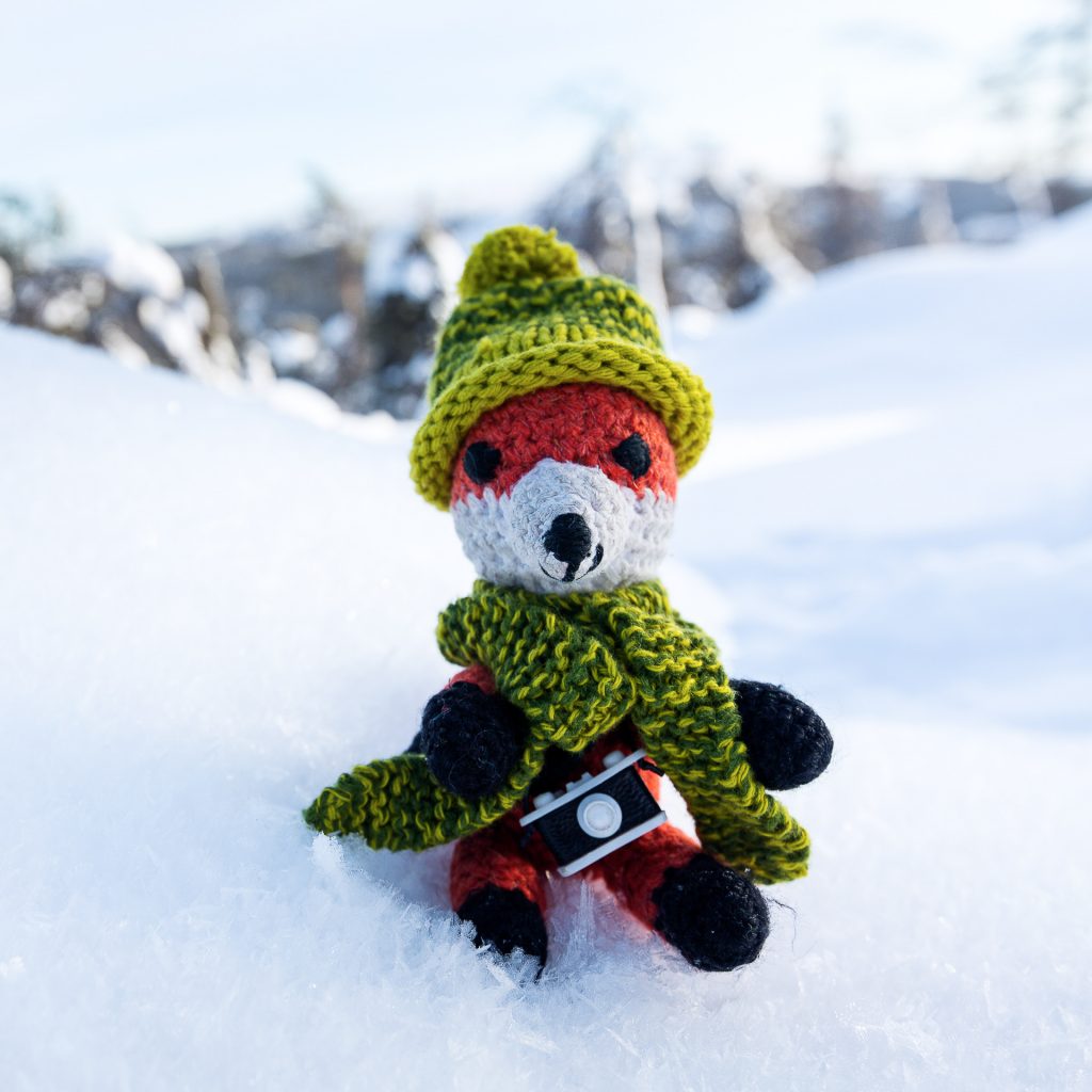 Kleide dein Fotofüchse Maskottchen in ausgefuchste Strickmuster.