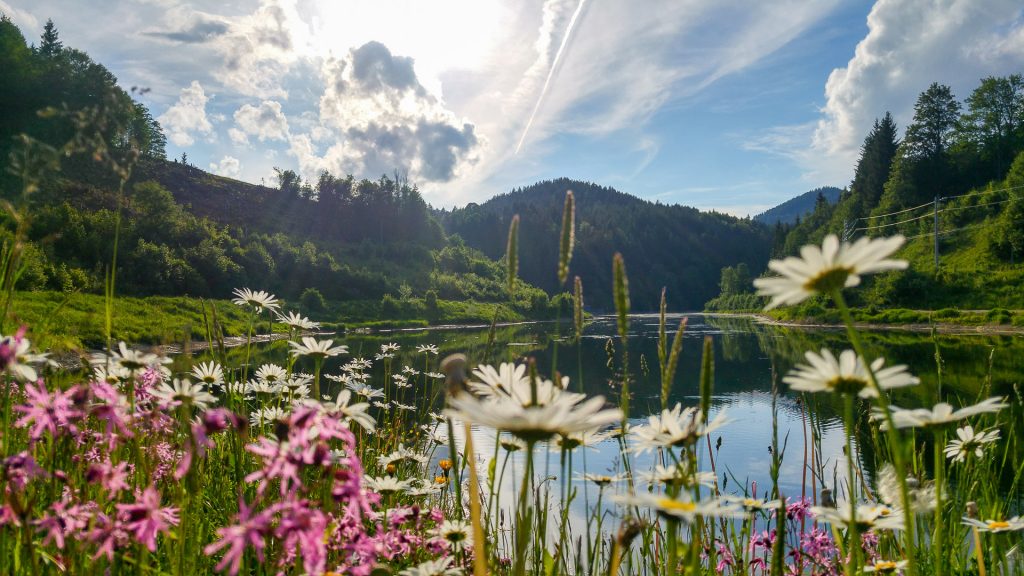 Verwende den HDR Modus um eine gleichmäßige Belichtung zu erreichen, wenn dein Motiv einen zu hohen Umfang an Licht aufweist.