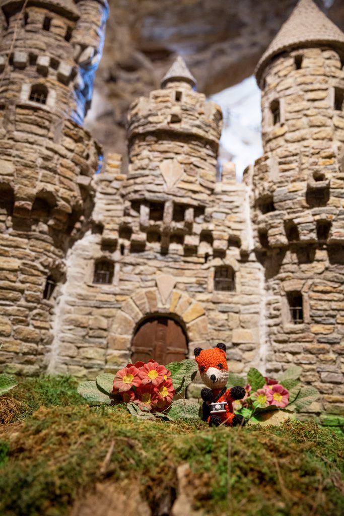 ...und nimm mit uns fotografisch die Burgruine Aggstein ein.