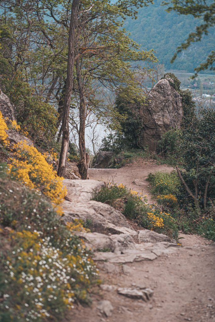 Die Wanderung hinauf zur Burgruine ist auch für wenig bis gar nicht geübte Fotofüchse geeignet.