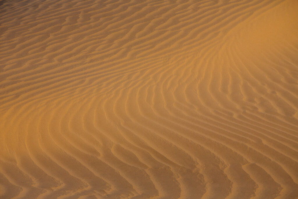 Und fotografieren im Morgen- und Abendlicht die Wüste.