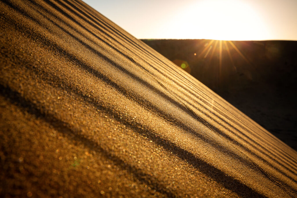 Die Sanddünen von Maspalomas fotografieren wir zum Sonnenaufgang. Wir spielen mit Perspektiven und Schärfe, um die beeindruckende Landschaft der Dünen zu betonen.