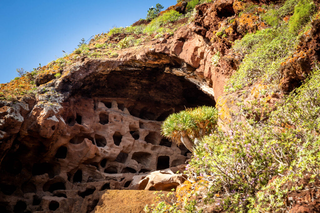 Wir besuchen Cenobi De Valeron, eine Ansammlung von Höhlen, die einst von den Ureinwohnern der Insel genutzt wurden. Die gut erhaltenen Felszeichnungen und die geheimnisvolle Atmosphäre der Höhlen sind faszinierende Motive für unsere Kameras.