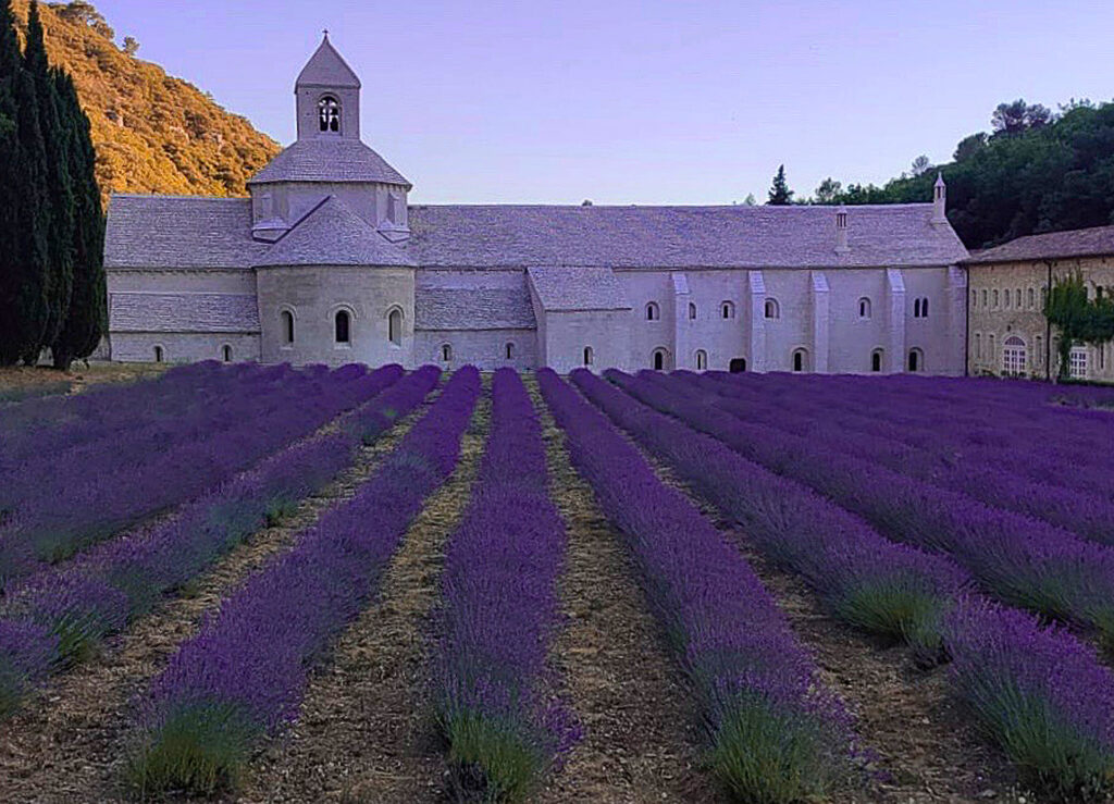 Fotoreise Provence Frankreich. Erkunde mit deiner Kameras historische Städte und wandere mit uns durch die Lavendelpracht.