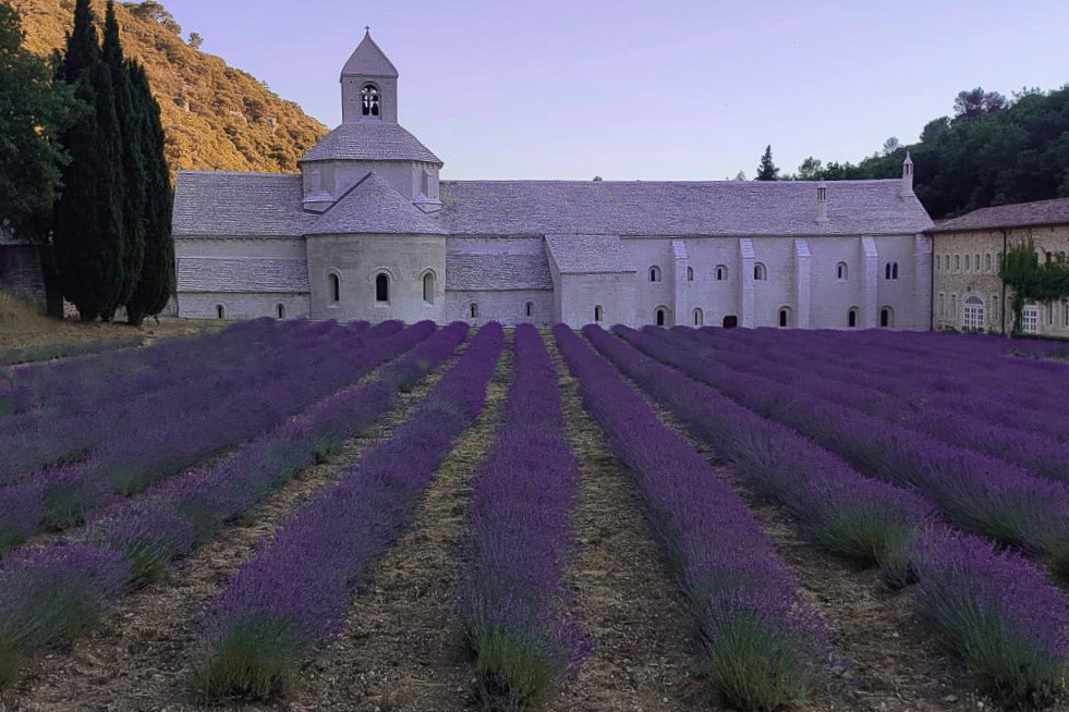 Fotoreise Provence Frankreich. Erkunde mit deiner Kamera historische Städte und wandere mit uns durch die Lavendelpracht.