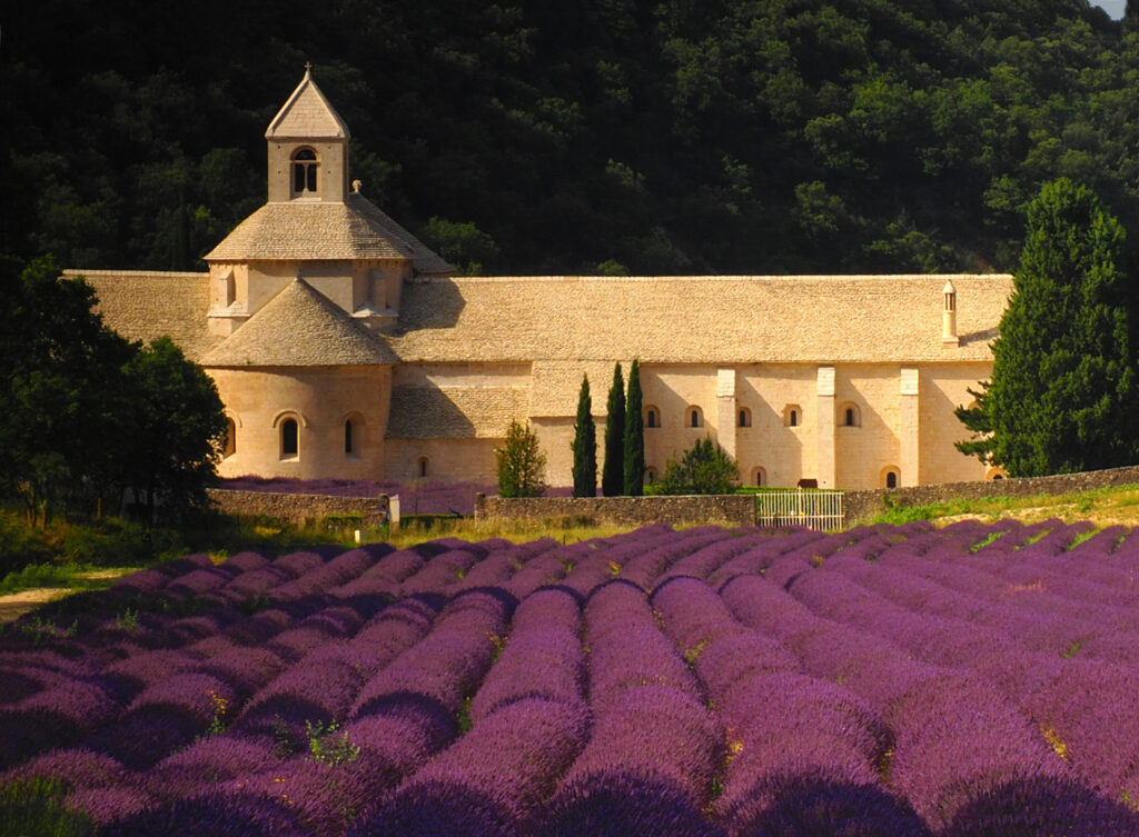 Die beeindruckende Klosteranlage Abbaye de Senanque ist umgeben von Lavendelfeldern.