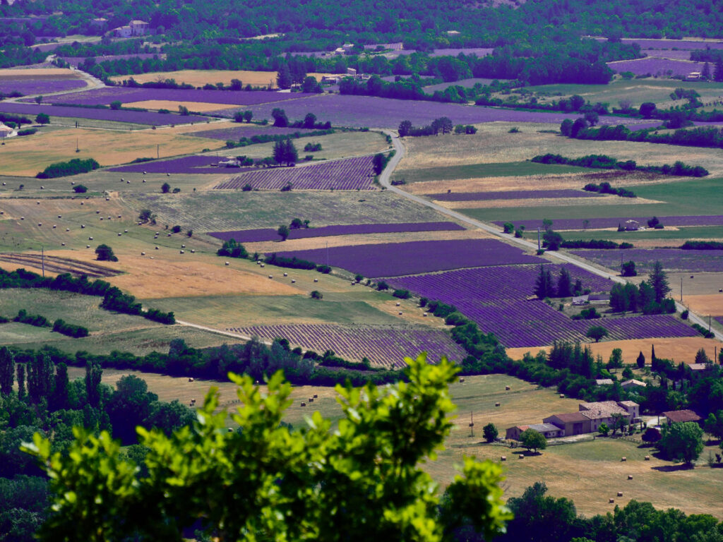 Typisch Provence. Landschaften wie aus dem Bilderbuch warten auf dich und deine Kamera.