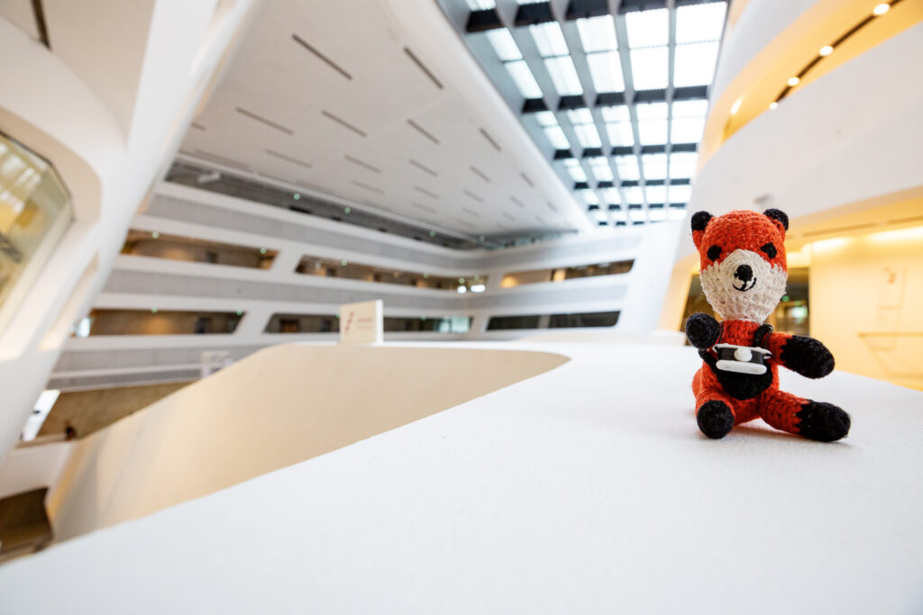 Wie immer mit dabei: Maskottchen Finn, der dir mit vielen Tipps & Tricks zur Seite steht.