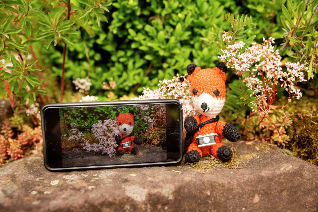 Baue dein Fotowissen bei einem unserer Fotokurse und Fotostreifzüge aus.