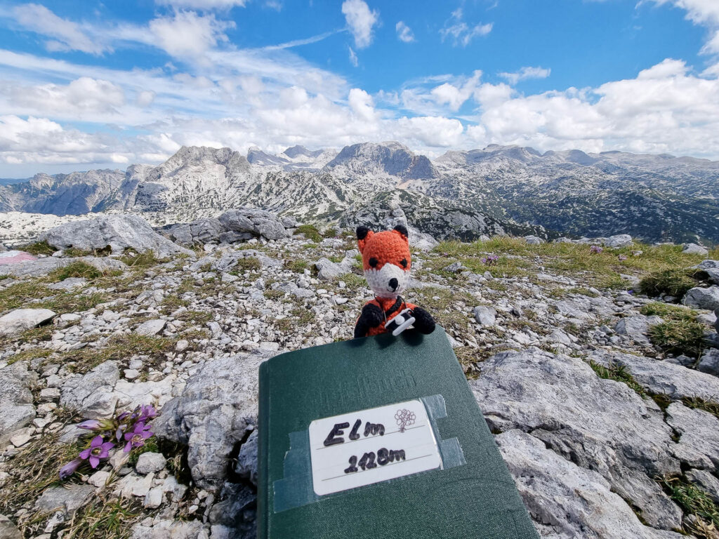 Fotokurse und Fotostreifzüge: Bei unseren Foto-Wanderungen fotografieren wir die Natur. Von einfachen bis zu herausfordernden Wanderstrecken, je nach deiner Kondition.