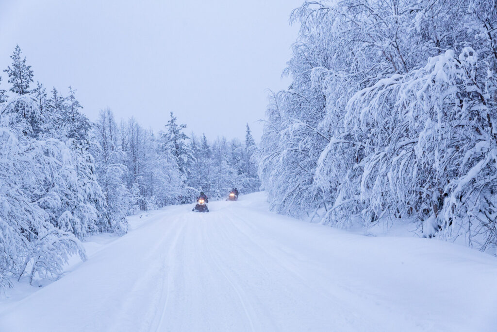 Fotoreise Finnland Überblick: Mit dem Snow-Mobil unterwegs durch den Winterwunderwald.