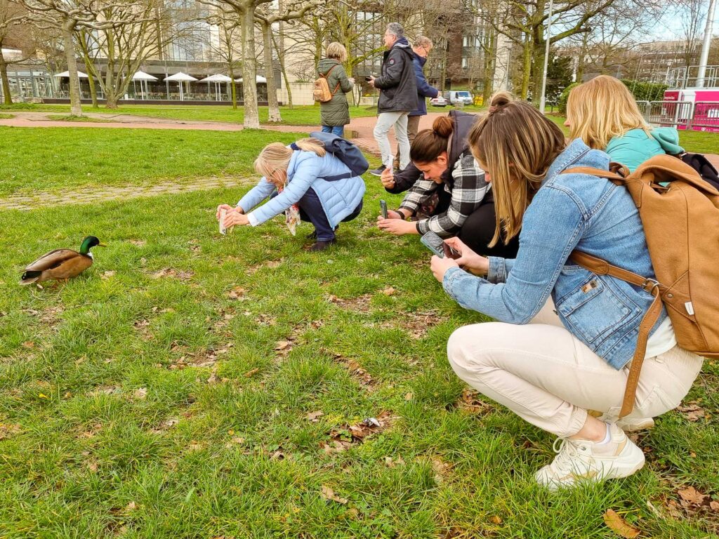 Fotokurse in Düsseldorf