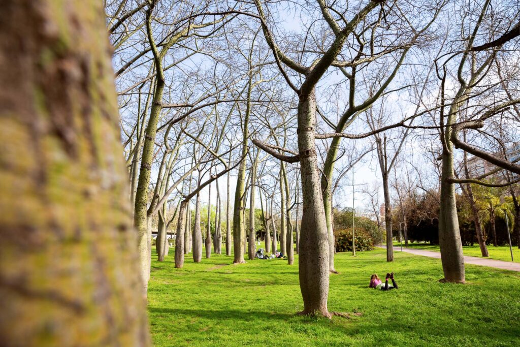 Auch die Natur in Valencia hält viele Motive für uns bereit. In den vielen Parks und Gärten der Stadt...