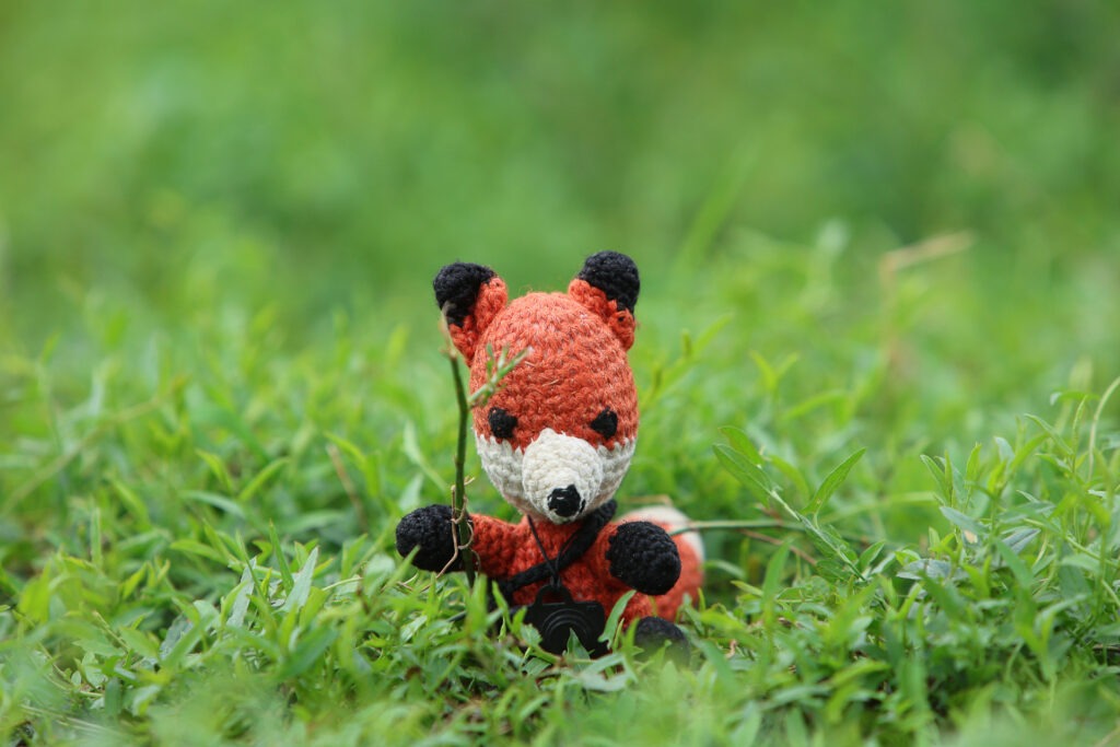 Fotofuchs Finn steht auch ganz brav Model für das Thema "Schärfeverlauf".