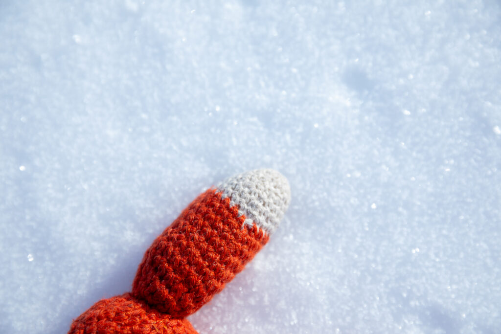 Fotofuchs Finn muss in Finnland als Model für das Thema "Farbe" im Schnee frieren.