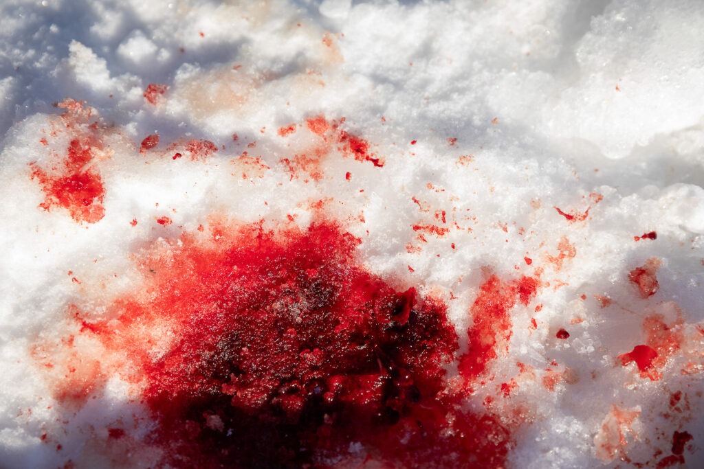 Fotofuchs Katharina hat die Herausforderung "Farbe" in Finnland nochmals umgesetzt. Geschmacklos oder Vorfreude auf den Fisch, der zum Abendessen serviert wird. Fotografische Freiheit kennt keine Grenzen.