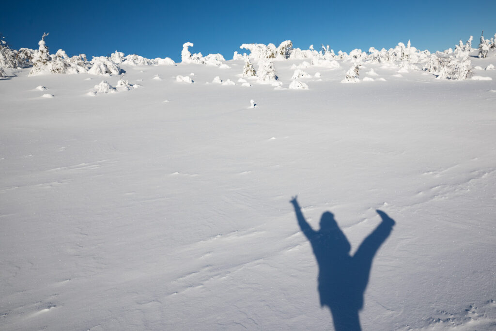 Fotofuchs Katharina kombiniert. Lieblingsthema Bewegung mit Farbe, Weißraum, Drittel-Regel, und Schatten. Allerdings nur 5 Themen - weit entfernt von Rekordhalter Ignaz mit 7 verschiedenen Themen.