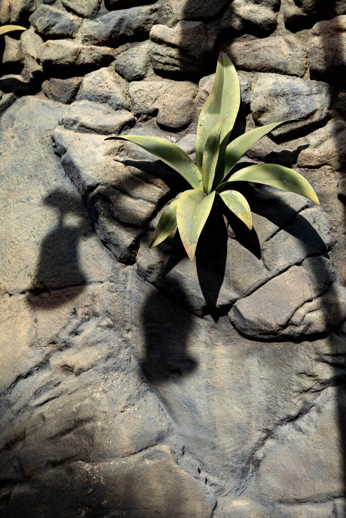 Eine kreative Umsetzung des Thema "Schatten" im Wiener Prater.