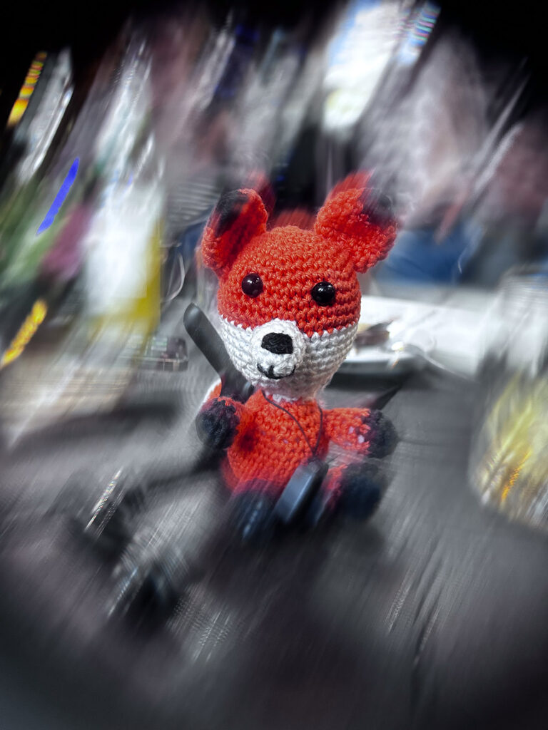 Ein spezieller Fotokurs für junge Fotofüchse. Komm mit deiner Kamera oder Handy-Kamera.